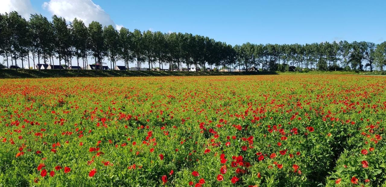 Villa Emilia - Gemuetliches Kinderfreundliches Blockhaus Mit Umzaeuntem Garten Sint Annaland Εξωτερικό φωτογραφία